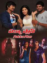Pakka Plan (2016) HDRip Telugu Full Movie Watch Online Free